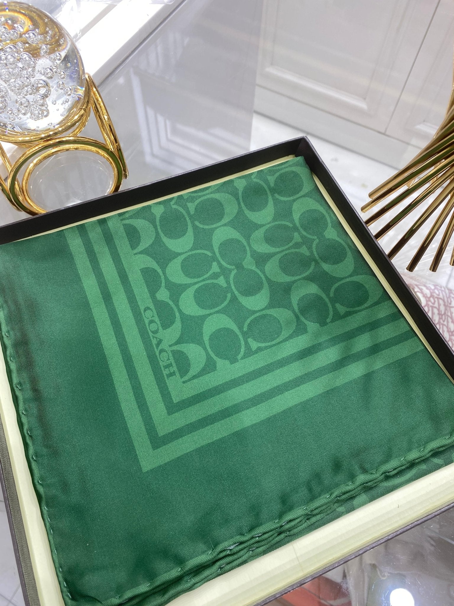 Coach Desen Twill İpek Eşarp - Zümrüt - Organic ScarfsOrganic Scarfs