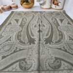 Etro Pamuk İpek Şal -987654 Açık Yeşil vizon