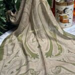 Etro Pamuk İpek Şal -987654 Zeytin Yeşili