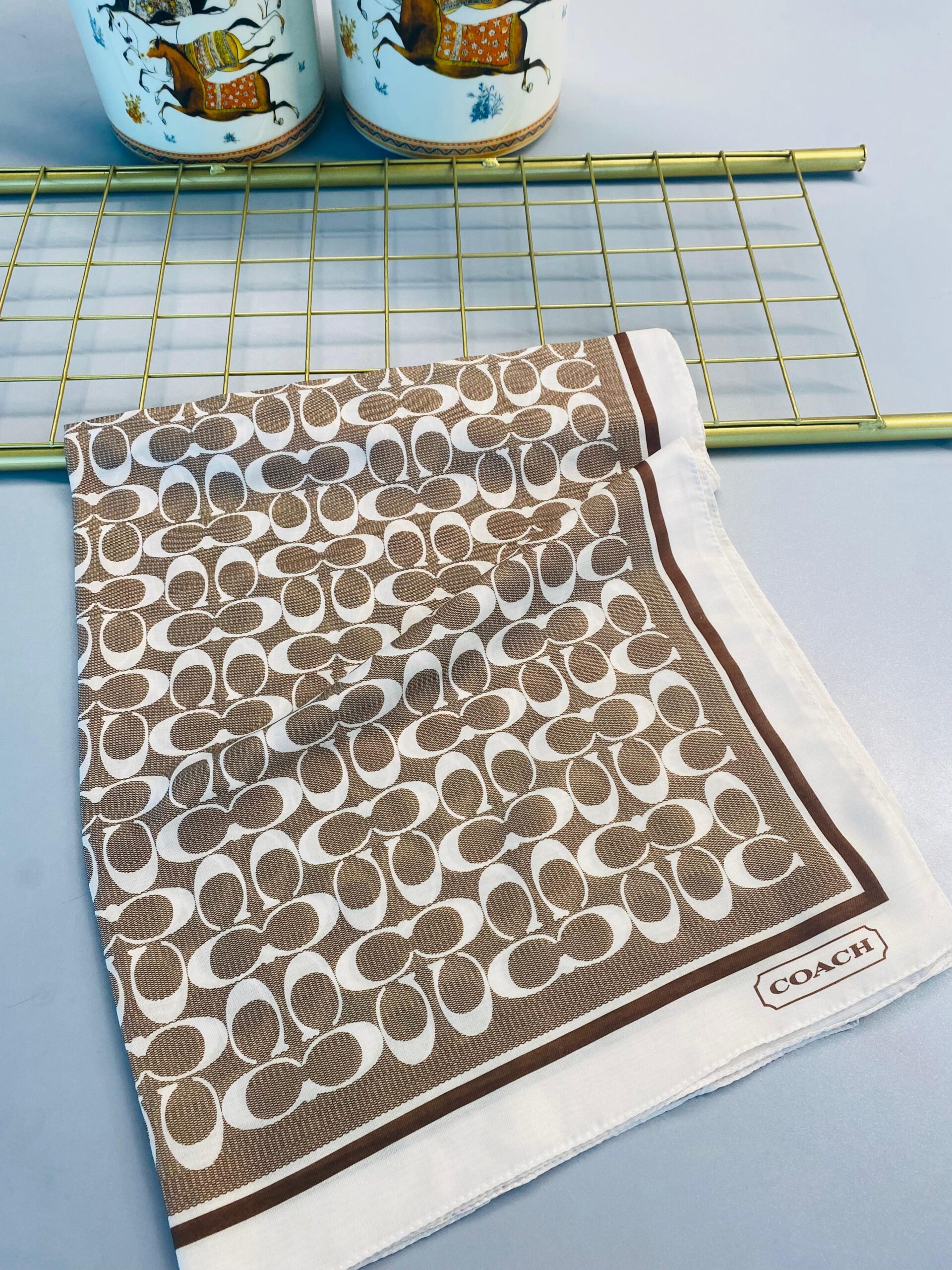 COACH DESEN PAMUK İPEK ŞAL-10006-SÜTLÜ KAHVE