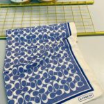 COACH DESEN PAMUK İPEK ŞAL-10006-Gök MAVİ