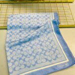 COACH DESEN PAMUK İPEK ŞAL-10006-BEBE MAVİ