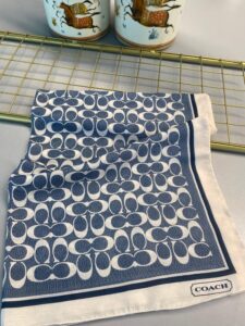 COACH DESEN PAMUK İPEK ŞAL-10006-MAVİ