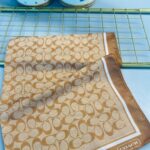 COACH DESEN PAMUK İPEK ŞAL-10006-TARÇIN