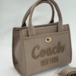 Coach canvas küçük boy taş çanta