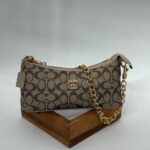 Coach monogram zincirli baget vizon vizon çanta