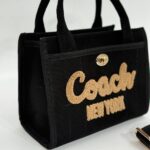 Coach canvas küçük boy siyah çanta